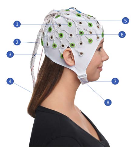 BrainCap MR with Electrodes