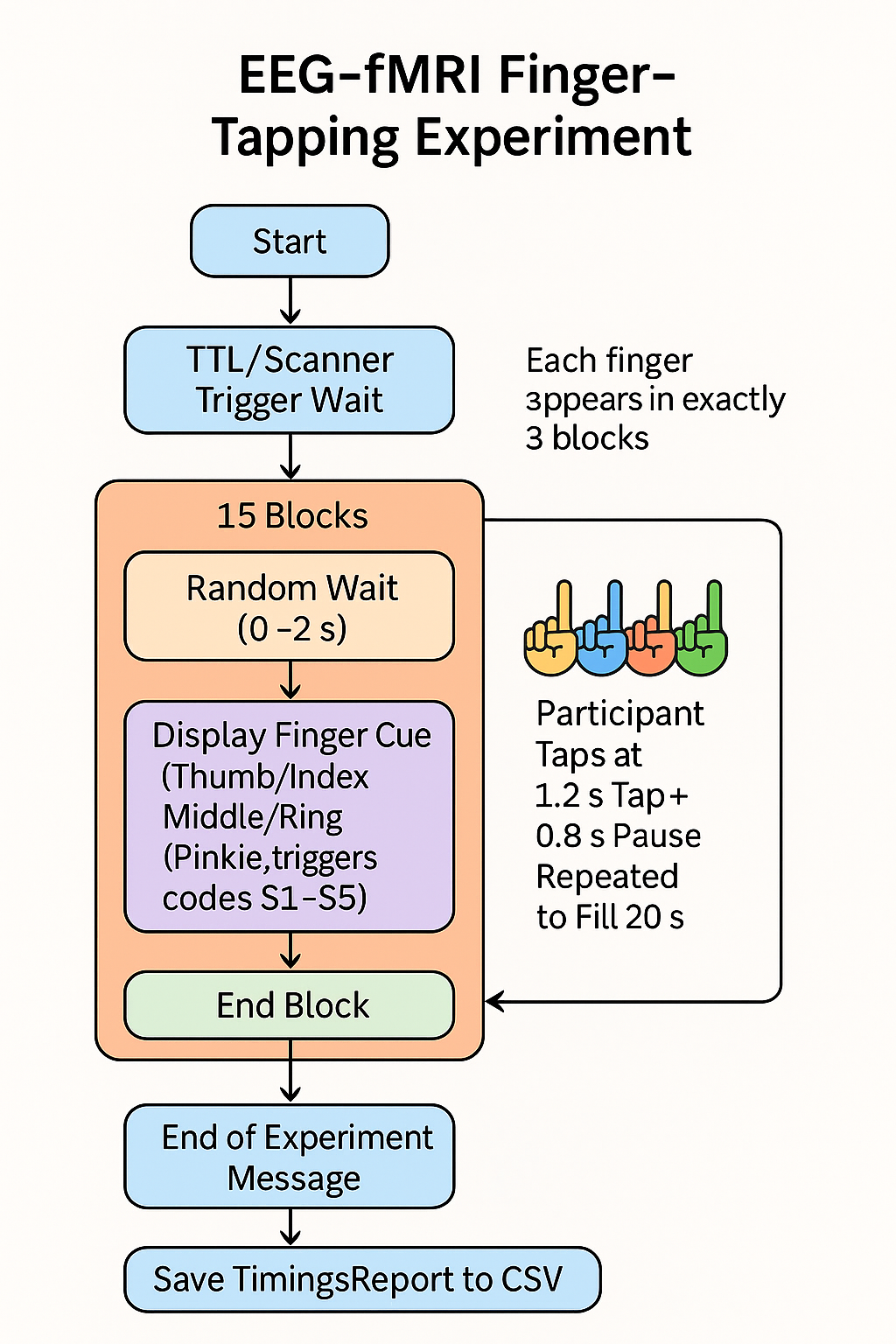 Finger tapping experiment diagram